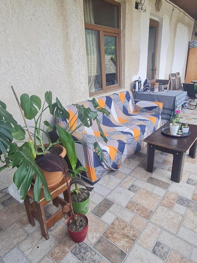 Guest House Goshtela Mestia Exterior foto